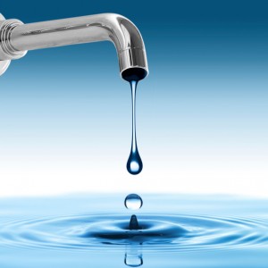 el agua