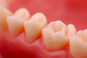 iStock_000001116726XSmall_webking