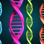 Un novedoso tratamiento a base de células madre le permitiría al páncreas de los diabéticos tipo 1 volver a producir insulina 