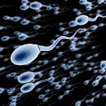 <!--:ES-->¿Qué es la cuenta baja de espermatozoides?<!--:-->