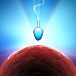 Una dieta rica en grasa afecta la cuenta y el volumen del semen 