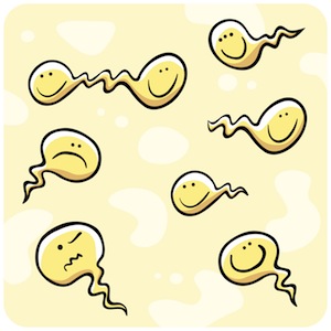 iStock_000010028803Illustra_crop_Mark Stay