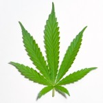 <!--:ES-->El uso de la marihuana vinculado con el cáncer testicular<!--:-->
