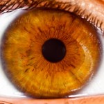 Relacionan el uso de ciertos antibióticos con el desprendimiento de la retina