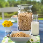 <!--:ES-->Vitamina D: la clave es el equilibrio<!--:-->