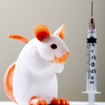 Científicos desarrollan vacuna que ataca al cáncer de mama con éxito en ratones