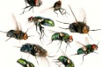 iStock_000017010335XSmall_Antagain