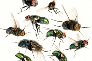 iStock_000017010335XSmall_Antagain