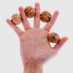 <!--:ES-->Un puñado de nueces, por favor – éstas parecen mejorar la calidad del semen y la fertilidad masculina<!--:-->