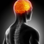 El ejercicio también beneficia tu cerebro  