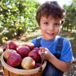 <!--:ES-->¿Alimentos orgánicos o convencionales? Es la cuestión…<!--:-->