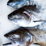 Los pescados grasos o azules: ¡qué buena pesca de omega 3!