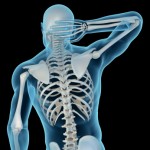 <!--:ES-->El calcio y la vitamina D: necesarios para tener huesos fuertes<!--:-->