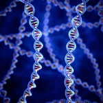 <!--:ES-->Encuentran 50 genes relacionados con la degeneración macular<!--:-->