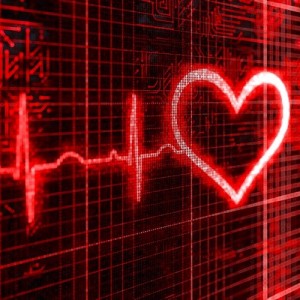 Puls