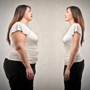 metabolismo